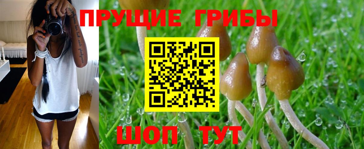 Галлюциногенные грибы MAGIC MUSHROOMS  Вход с VPN  Ишимбай 